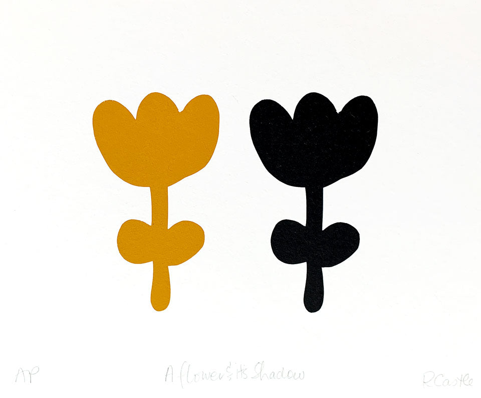 A FLOWER & ITS SHADOW
