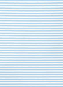 BLUE STRIPE SHIRTING FLAT SHEET BY CASTLE